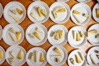 EEEK! A Winter Wine & Cheese Festival Has JUST Been Announced