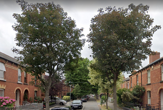 A New ‘Greening Of Stoneybatter’ Initiative Has Been Announced