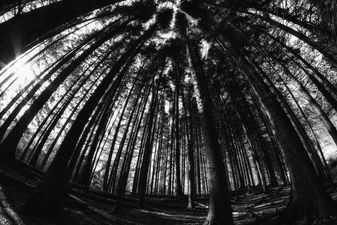 There’s a terrifying ‘Blair Witch’ experience happening in Dublin this weekend