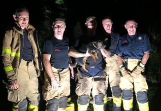 Coco the dog rescued from rabbit hole overnight by Dublin Fire Brigade