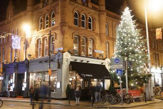 You will have an unforgettable Christmas party experience at Rustic Stone