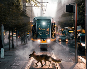 PICS: these were Lovin Dublin’s top 10 Instagram photos of the year