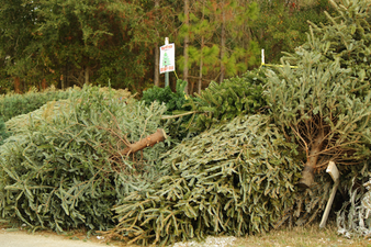 Fingal and SDCC reveal 38 locations to recycle your Christmas tree