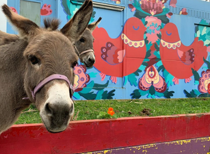 10 of the best things to do in Dublin with kids