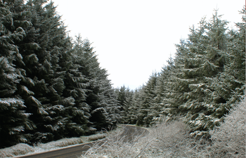 Snow possible in parts of Dublin today as day of unsettled weather expected