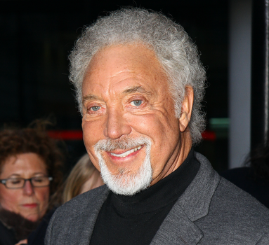 Tom Jones Dublin gig