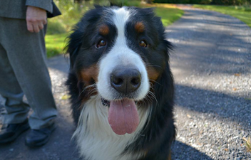 Brod only has eyes for Michael D and it’s giving us all the warm fuzzies