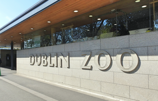 Dublin Zoo Covid-19