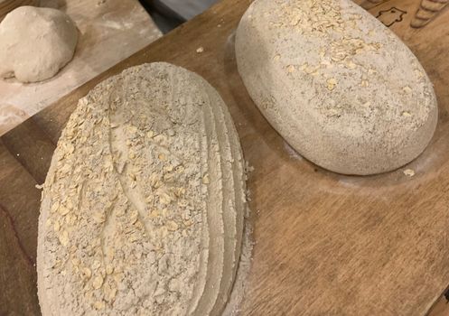 Bread 41 free starter kits and recipes