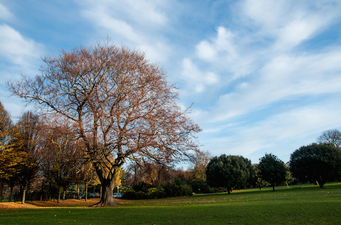 Lord Mayor issues statement saying parks could close if people sit in groups