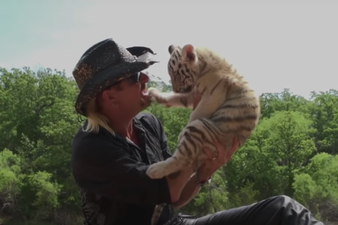 You can take part in Ireland’s biggest Tiger King quiz this weekend