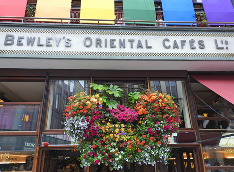 Bewley's stained glass windows