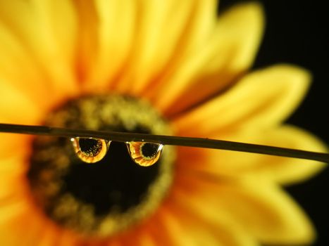 Huawei launch amateur photo competition where you could win massive cash prizes