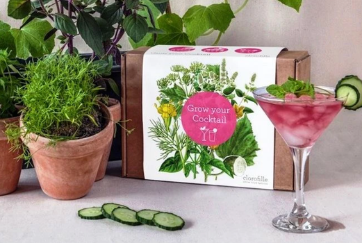 Grow your own cocktail