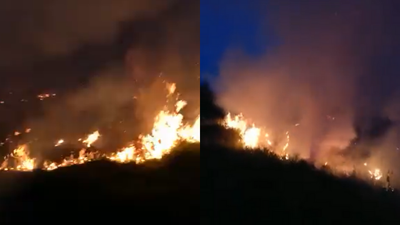 Dublin Fire Brigade warn against campfires and BBQs as heatwave to continue