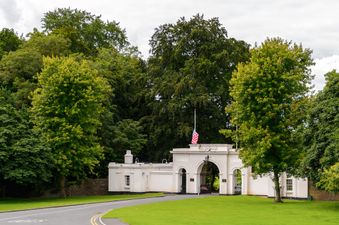 A number of George Floyd solidarity demonstrations are being organised for Dublin