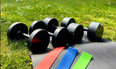 This family-run Dublin company is selling sets of Dumbbells