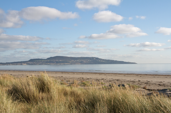 Swimming ban in place for three Dublin beaches over sewage concerns