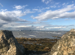 Several more ‘do not swim’ notices issued for Dublin bathing areas