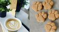 This new dog-friendly Dublin café has free treats for all visiting pup-stomers