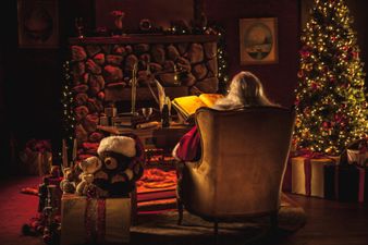 Dublin Zoo is looking for Christmas elves to join their team