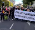 WATCH: Large anti-lockdown march in Dublin earlier today