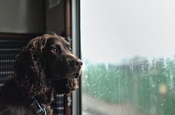 Met Éireann says Ireland’s  weather will be in the ‘battleground zone’ this week 