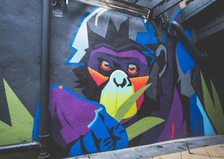 Bonobo announce temporary closure due to Covid-19 safety concerns