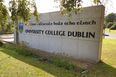 UCD pays tribute to ‘Old Man Belfield’ who died on campus yesterday