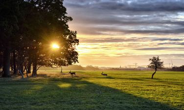Met Éireann gives positive update for mostly dry weekend ahead