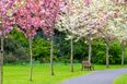 Dubliners asked to provide input on the future of the city’s parks