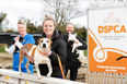 New six-part series following the DSPCA begins next week
