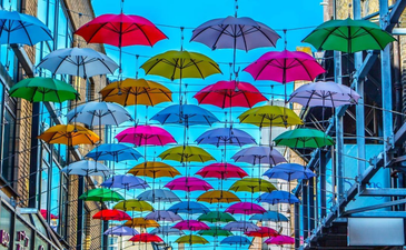 Zozimus Bar announce their return to the Dublin drinks scene