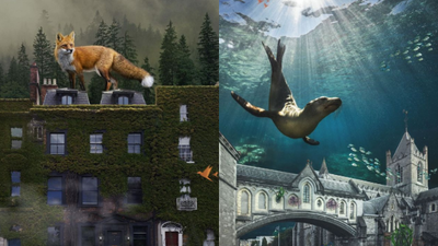 Photographer’s ‘Wild Dublin’ print collection is absolutely captivating