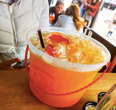 Relive your Leaving Cert Holiday with these bucket cocktails!