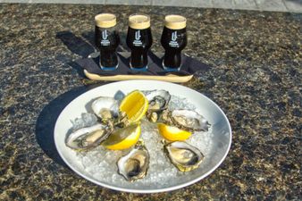 There’s a stout and oyster festival coming to Dublin this weekend, here’s everything you need to know