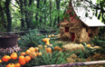 5 pumpkin patches near Dublin to head to with the fam during mid term