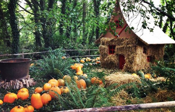 5 pumpkin patches near Dublin to head to with the fam during mid term