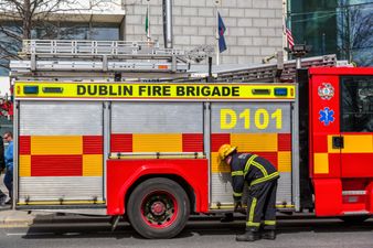 Dublin Fire Brigade helped with the delivery of two babies this week