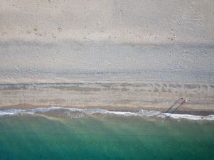 There’s a December Dip for the DSPCA this Sunday!