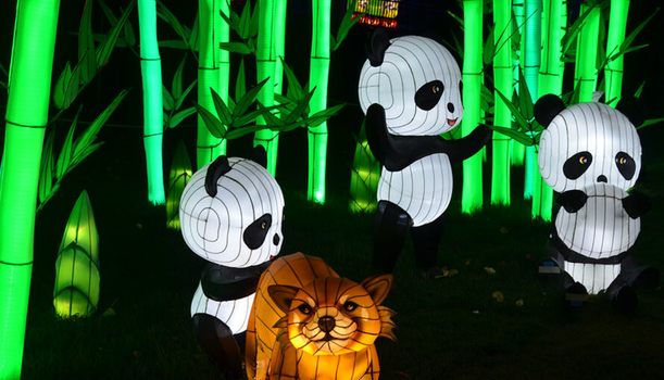 three lanterns in the shape of pandas and one shaped like a fox, with fluorescent green bamboo in the background