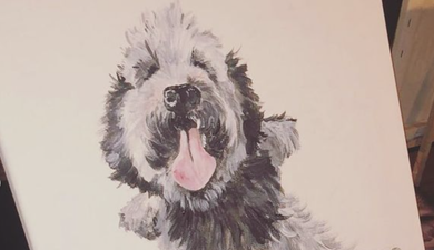 The Doghouse Howth to host Paint Your Pet event