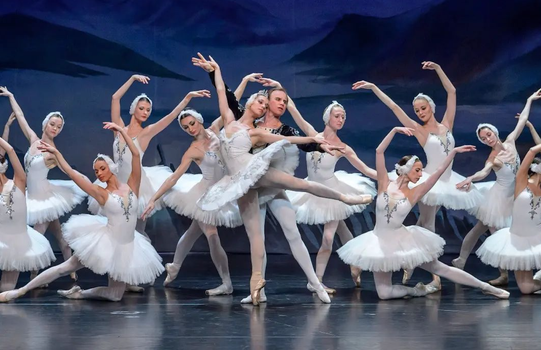 ballerinas in white tutus on stage during a production of Swan Lake
