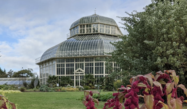 7 budget friendly options for Mother’s Day