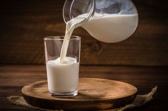 5 common myths about lactose intolerance you shouldn’t believe