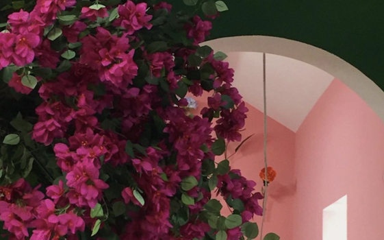 garden eden café blanchardstown