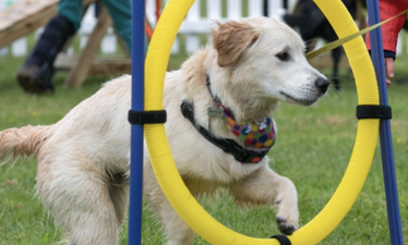 Pups in the Park returns this September at new southside location