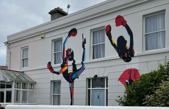 ‘I’m devastated… but not totally surprised’- Dublin woman ordered to remove mural from home