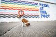 Dublin Port Co paint the town rainbow with this new Pride mural