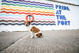 Dublin Port Co paint the town rainbow with this new Pride mural
